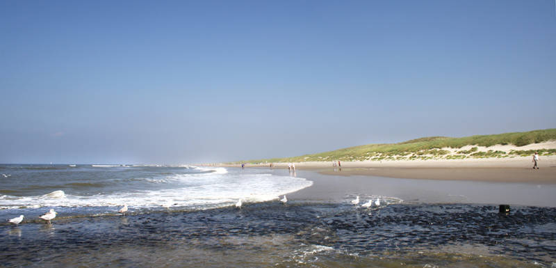 Beach Callantsoog